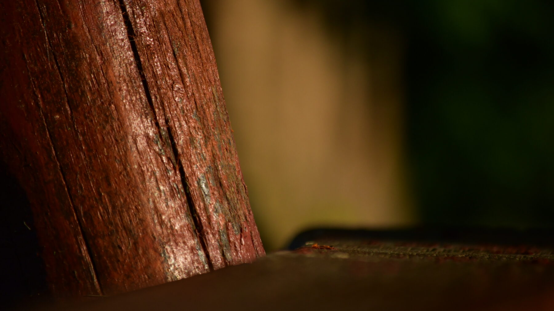 Bench
