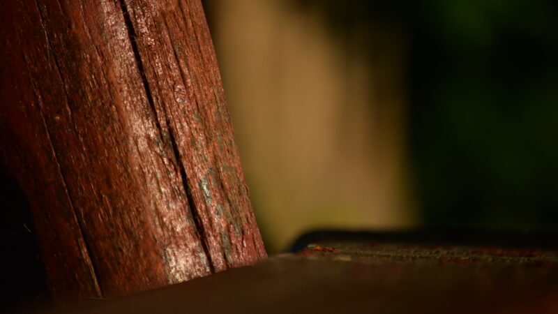 Bench