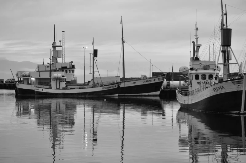 Old whale ships